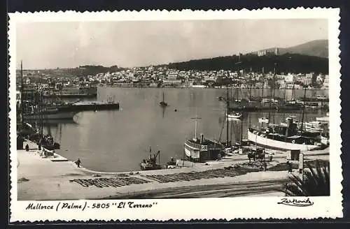 AK Palma de Mallorca, El Terreno