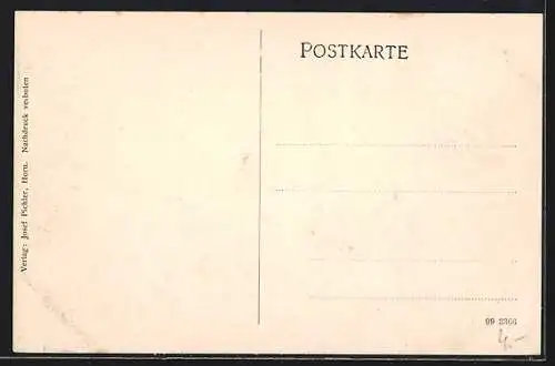 AK Altenburg /N.-Oe., Steinegg, Ortsansicht von einen Berg aus