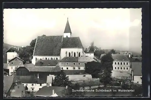 AK Schönbach im Waldviertel, Ortspartie mit Kirche