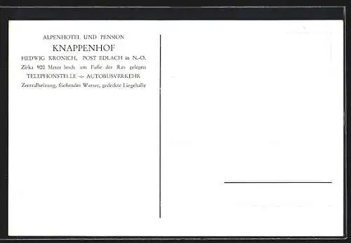 Künstler-AK Edlach, Alpenhotel & Pension Knappenhof