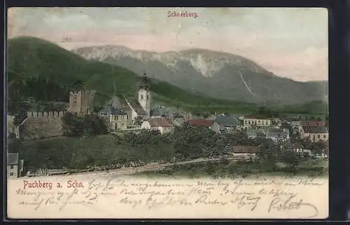 AK Puchberg am Schneeberg, Ortsansicht mit Ruine