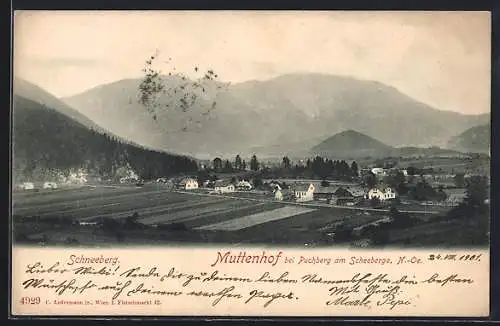 AK Puchberg am Schneeberg, Muttenhof, Ortsansicht aus der Vogelschau