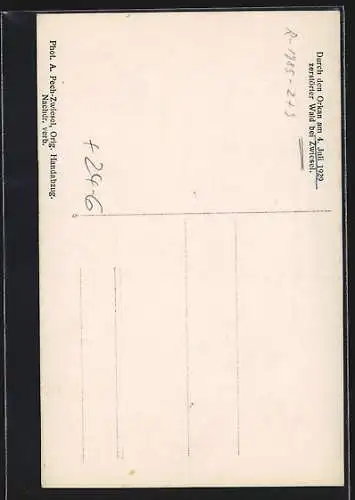 AK Zwiesel / bayr. Wald, Durch den Orkan am 4.7.1929 zerstörter Wald