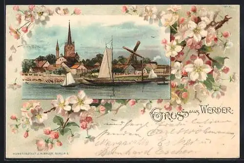 Passepartout-Lithographie Werder / Havel, Ortsansicht mit Segelbooten und Windmühle, Baumblüten