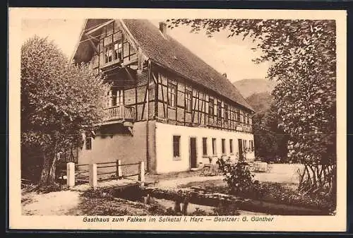 AK Falkenstein / Selketal, Gasthaus zum Falken im Selketal