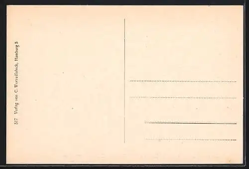 AK Alt-Hamburg, Büring`s Stiftswohnung, Steinstrasse 79, Hof