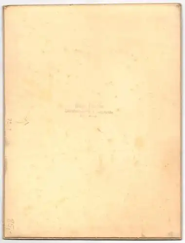 Fotografie Hugo Reichl, Lützelsachsen, Ansicht Lützelsachsen a. d. Bergstrasse, Blick auf die Villa Anna