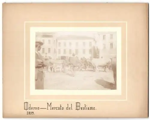 Fotografie unbekannter Fotograf, Ansicht Oderzo, Mercato del Bestiame 1899, Viehmarkt