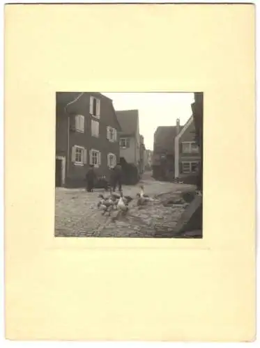 8 Fotografien unbekannter Fotograf, Ansicht Sulzfeld am Main, Kitzinger Str., Gassen, Gänze, Bauer mit Heuwagen