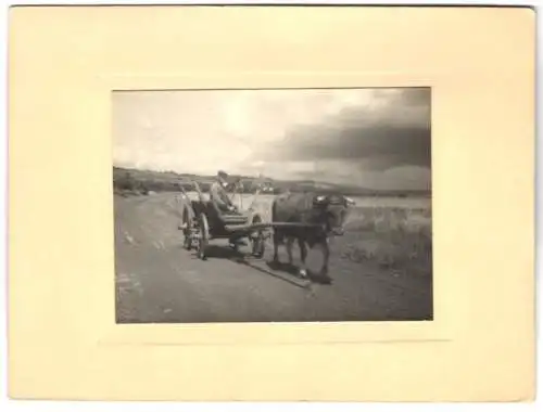 8 Fotografien unbekannter Fotograf, Ansicht Sulzfeld am Main, Kitzinger Str., Gassen, Gänze, Bauer mit Heuwagen