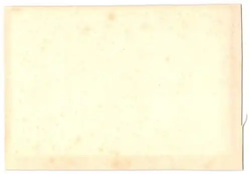 9 Fotografien Ansicht Balingen, Hochwasser Katastrophe 1895, Obere Mühle, Wehr, Scheune v. Bierbrauer Lang