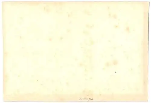 9 Fotografien Ansicht Balingen, Hochwasser Katastrophe 1895, Obere Mühle, Wehr, Scheune v. Bierbrauer Lang