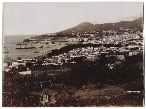 Fotografie M. O. Perestrello & F., Funchal, Ansicht Funchal, Blick über die Stadt mit Hafen