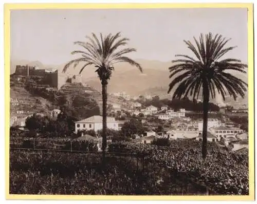 Fotografie unbekannter Fotograf, Ansicht Funchal, Blick nach der Stadt mit Festung