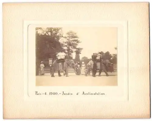 Fotografie unbekannter Fotograf, Ansicht Paris, Exposition universelle 1900, Jardin d`Acclimatation, Elefanten Tour