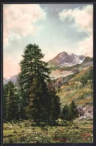 Künstler-AK Raphael Tuck & Sons Nr. 244: Schiakorn, Berglandschaft im Sonnenschein