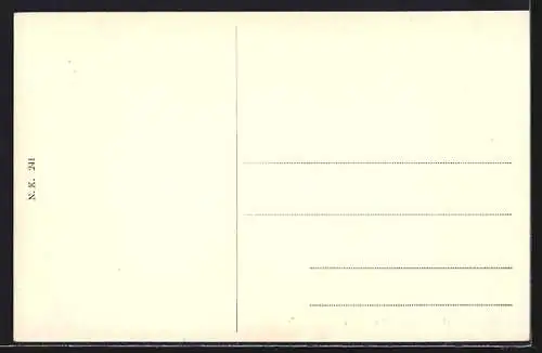 AK Mesnafossen, Blick auf den Wasserfall