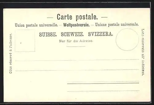 Künstler-AK Rheinfall, Wasserfall mit Panorama