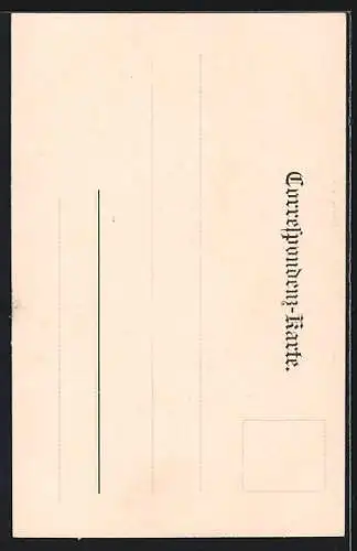 AK Hochalmfall, Blick auf den Wasserfall