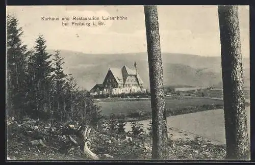 AK Freiburg / Breisgau, Kurhaus-Restaurant Luisenhöhe