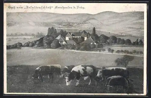 AK Merzhausen / Freiburg, Blick zum Jesuitenschloss, Kühe im Vordergrund