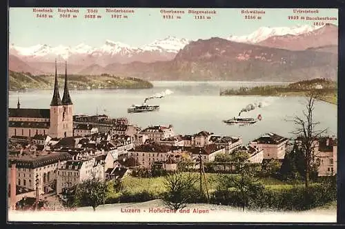 AK Luzern, Hofkirche und Alpen