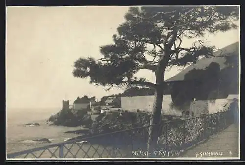 AK Nervi-Passeg, Panorama