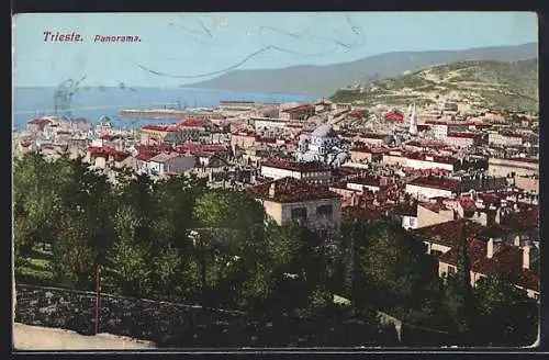 AK Trieste, Panorama generale