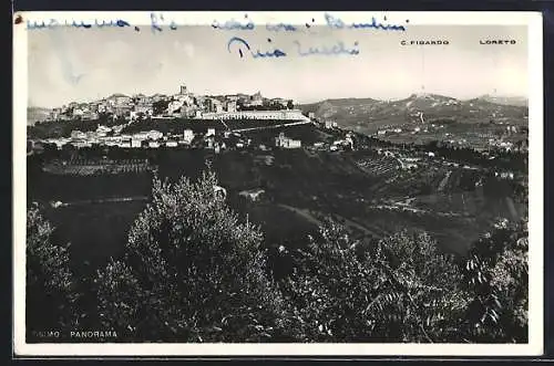 AK Osimo, Panorama, C. Fidardo & Loreto