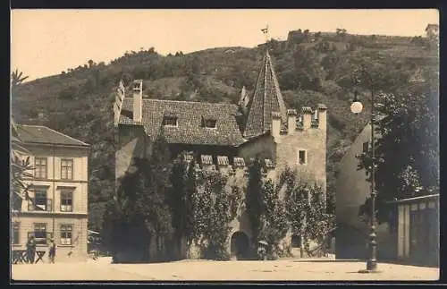 AK Meran, Landesfürstliche Burg