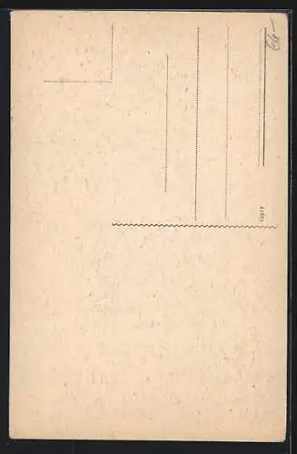 AK Lucca, Cattedrale