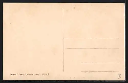AK Rübeland i. Harz, Hermannshöhle, Kapelle mit klingenden Säulen