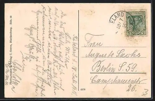 AK Rübeland /Harz, Hermannshöhle, Der Wald