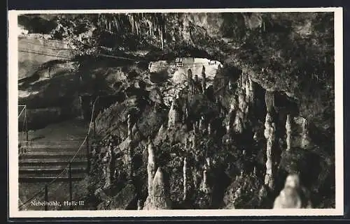 AK Nebelhöhle, Halle III