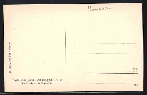 AK Adelsberger Grotte, Säulenallee, Höhle