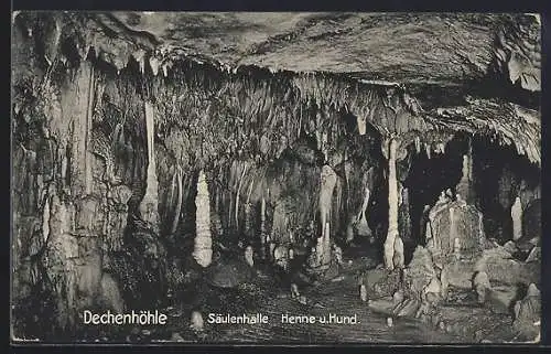 AK Dechenhöhle, Säulenhalle, Henne und Hund