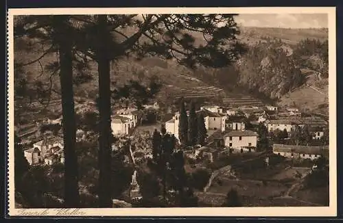 AK Villaflor /Tenerife, Panorama