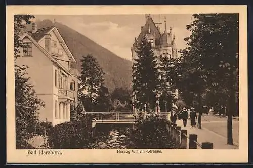 AK Bad Harzburg, Herzog Wilhelm-Strasse mit Passanten