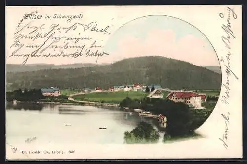 AK Titisee /Schwarzwald, Ortspanorama mit Strasse vom See aus