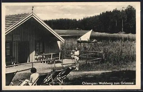 AK Grossbergham, Blick auf den Waldweg zum Griessee mit Holzhaus und Liegestühlen