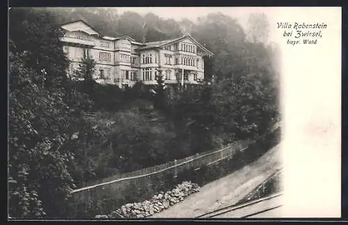 AK Zwiesel /Bay., Villa Rabenstein mit Umgebung