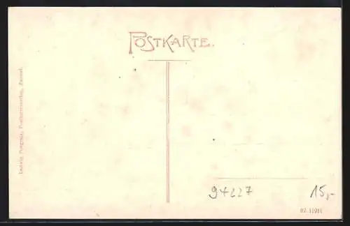 AK Zwiesel /Bay., Villa Rabenstein mit Umgebung