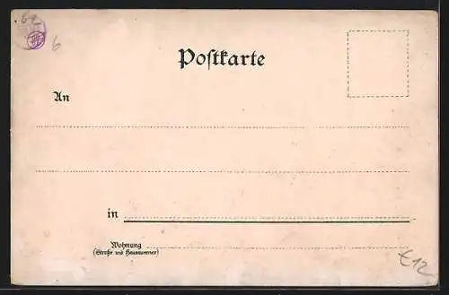 Lithographie Dresden, II. Internationale Gartenbau-Ausstellung 1896, Ausstellungsgebäude Stübelallee