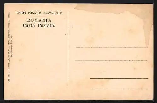 AK Bucuresti, Exposita Nationala 1906, Vedere de la Arenele Romane