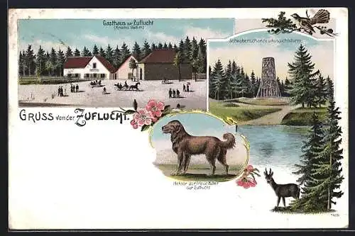 Lithographie Zuflucht, Gasthaus auf dem Kniebis, Schwabenschanze und Aussichtsturm, Hektor der treue Hüte-Hund