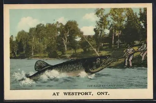 AK Westport /Ont., Männer fangen riesigen Fisch, Fotomontage, optische Täuschung