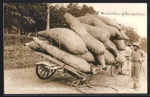 AK Mann mit einem Wagen voll riesiger Süsskartoffeln, Fotomontage, optische Täuschung