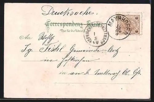 Lithographie Mairhofen, Gesamtansicht, Edel-Hütte, Ahorn-Spitze