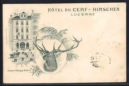 Lithographie Lucerne, Hôtel du Cerf, Albert Hänggi-Bösch