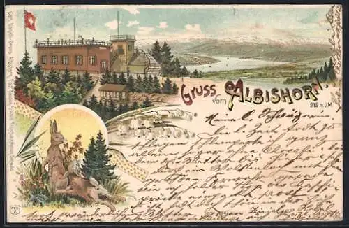 Lithographie Albishorn, Blick zum Gasthaus, Hasen